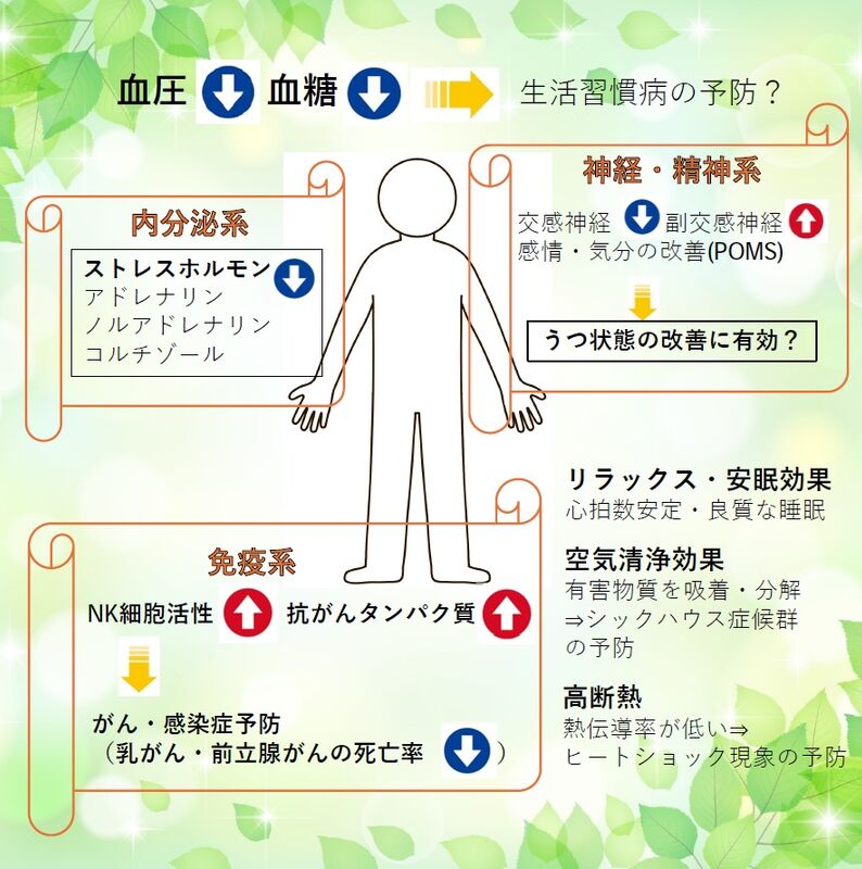 人体ﾈｯﾄﾜｰｸの解説図