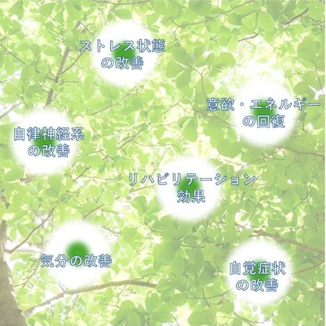 効果効能図
